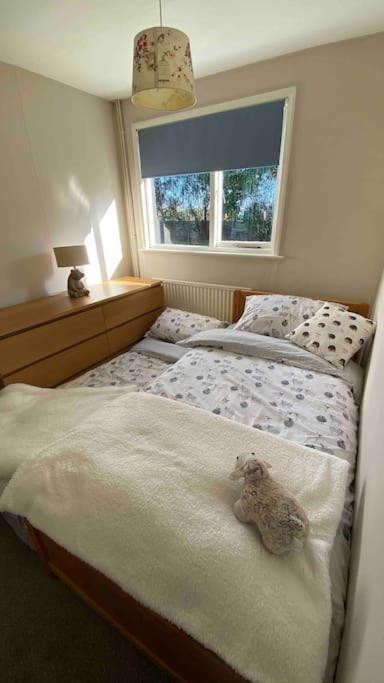 Cheerful 3 Bedroom Bungalow With Indoor Fire Place Gloucester Kültér fotó